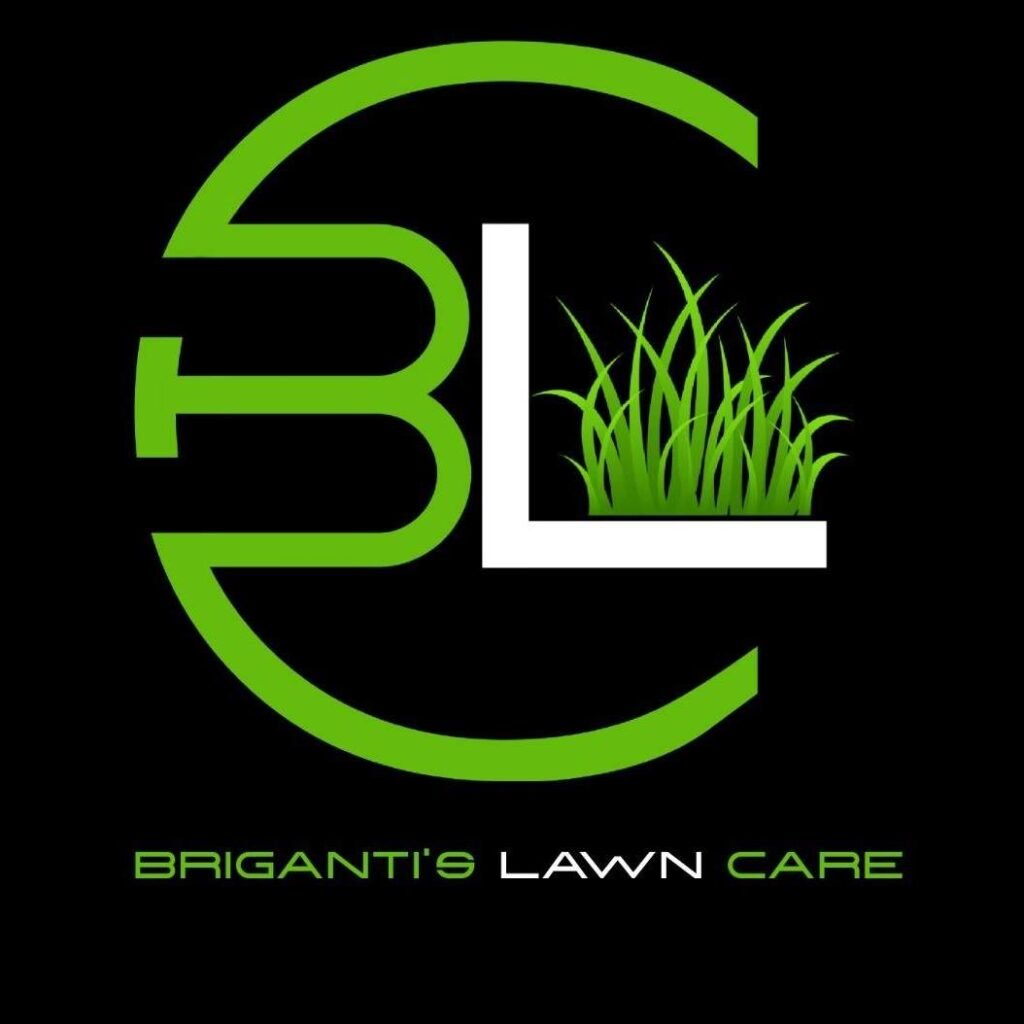 JARDINERIA 291862403 547647903734743 818743166643232251 n