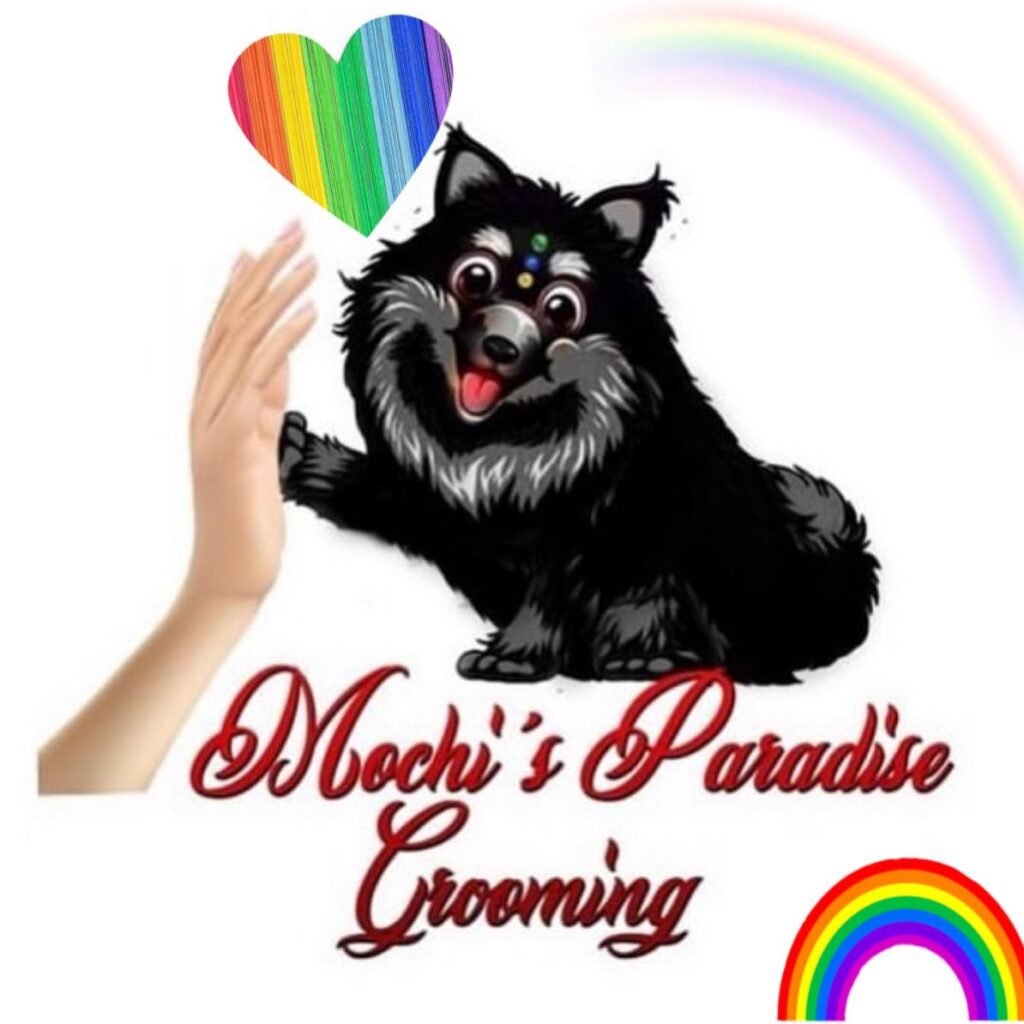 PET GROOMING 322953838 910547733446355 6305365311025141443 n