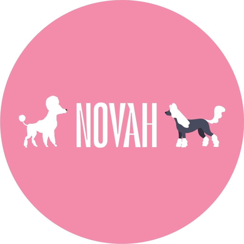 PET GROOMING 385067471 122107226216055968 4437933804907679915 n