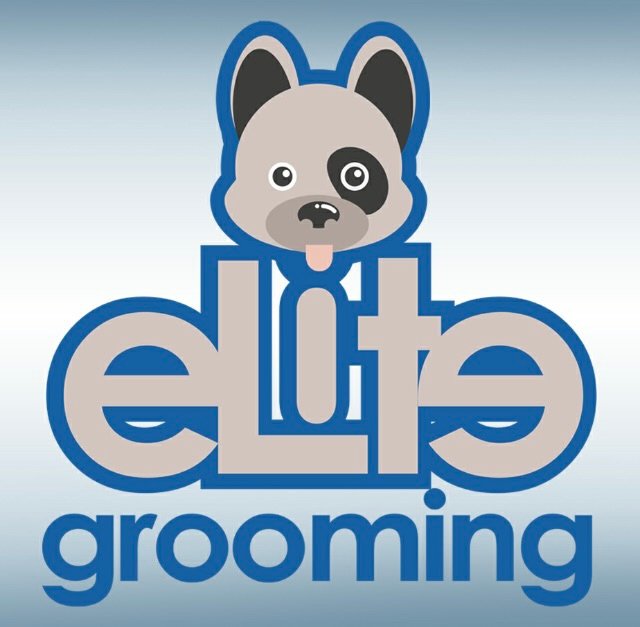 PET GROOMING 399994135 2096176684069642 2011349055584168318 n
