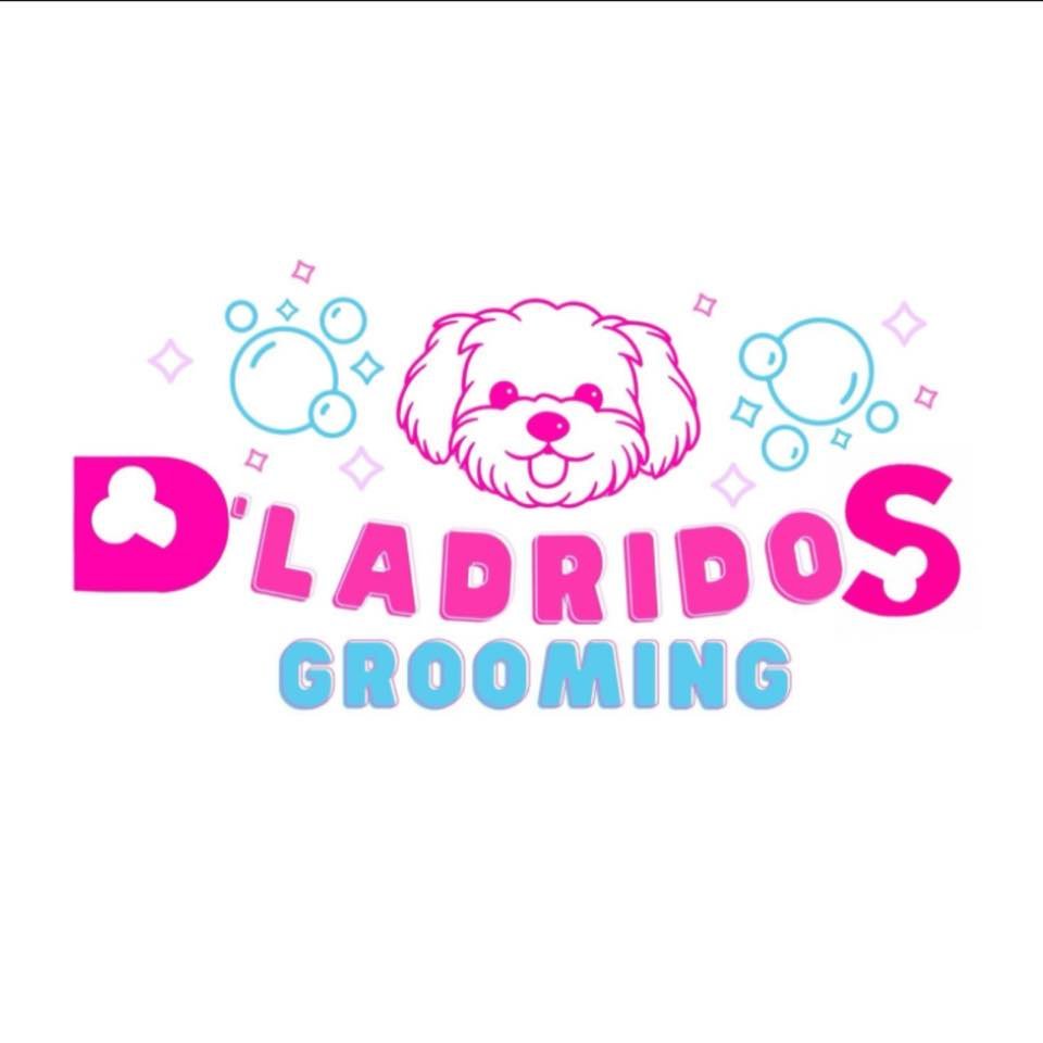 PET GROOMING 448983184 122097369962379897 8966096919458028937 n