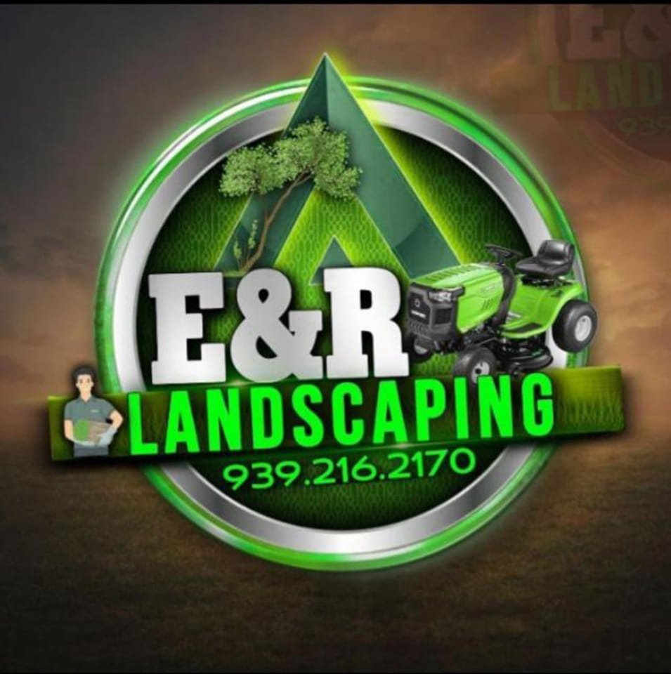 JARDINERIA 449093818 122098573274380957 2191226389537312995 n