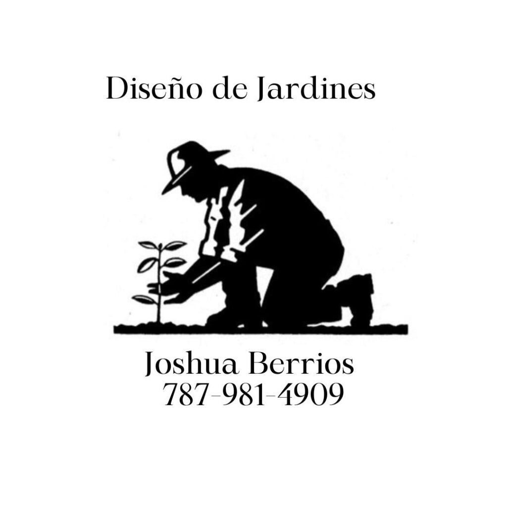 JARDINERIA 458327482 2214058725646849 2308692380778782146 n