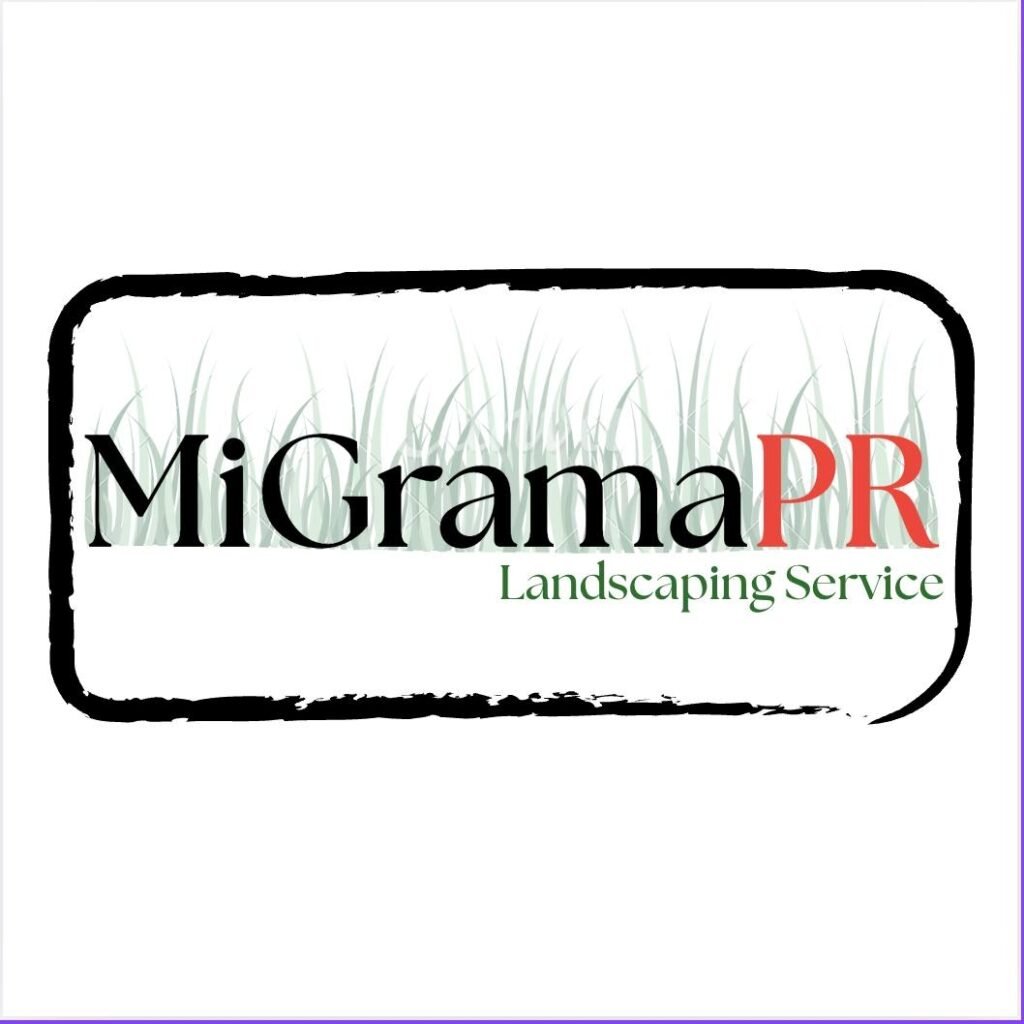 JARDINERIA 533752708 122174017970459253 4833454491942920945 n