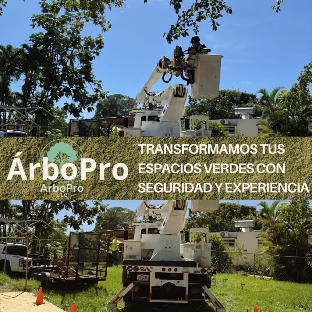 JARDINERIA 547376360 122151104156800095 6729688446969103119 n